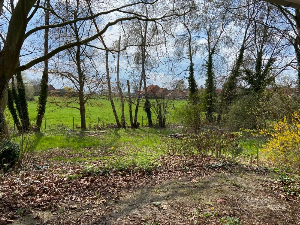 Großes Grundstück in Feldrandlage 
mit Bestandsobjekt zum Abriß
in Heitlingen