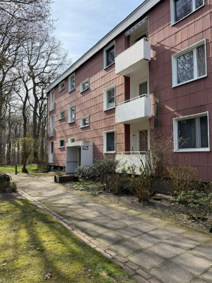 3 - Zi-ETW mit Terrasse und Gartenanteil sucht Kapitalanleger 

Waldrandlage in Marienwerder