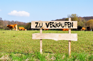 Alt-Garbsen, Baugrundstück für EFH/DHH 
Am Kreuzstein