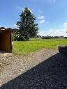 Blick in den Garten