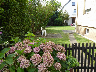 Gemeinschaftsgarten